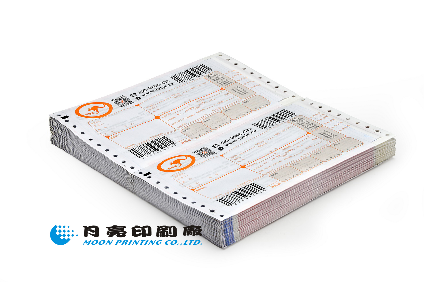 ��ʽ��ӡ����